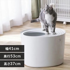 猫　トイレ　