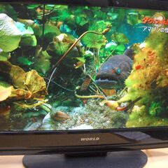  ★ 液晶テレビ 19型 WORLD ワールド KS19-11B...