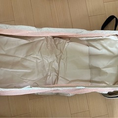 【決定】ピクニック用リュックサックの画像
