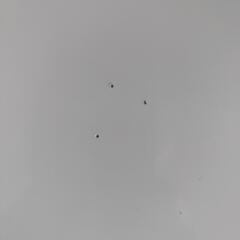 テレビ壁面収納棚の画像