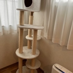 キャットタワー