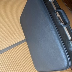 SEIO スーツケースの画像