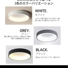 シーリングライト（要修理）の画像