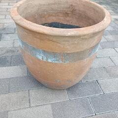 大型の花鉢の画像