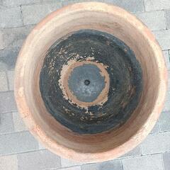 大型の花鉢の画像