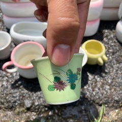 鳥　まとめて　餌入れ　盆栽　豆盆栽　鉢　多肉植物・ミニ観葉植物用 植木鉢セット 可愛いデザインの画像