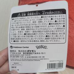 ポケモンセンター  ホゲータ  ふわふわフェイスクッションの画像