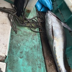 マグロジギング募集