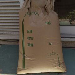 コシヒカリ玄米30ｋｇ