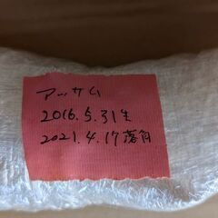 五千円　白い鹿の角一対　約36cmの画像