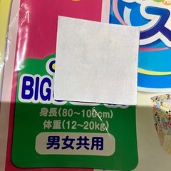 水遊びパンツビッグ5枚の画像