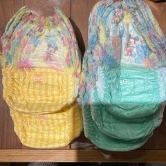 水遊びパンツビッグ5枚の画像
