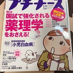 プチナース（まとめて購入あり）の画像