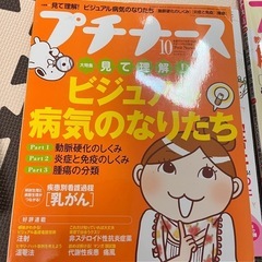 プチナース（まとめて購入あり）の画像