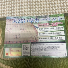 天然い草カーペット195×210の画像