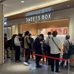 実演販売のお仕事です