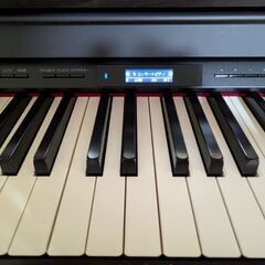 ROLAND  HP601の画像