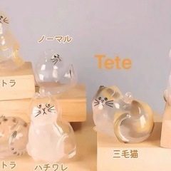 うちの子のけだまだま ガチャガチャ コンプリート6種の画像