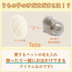 うちの子のけだまだま ガチャガチャ コンプリート6種の画像