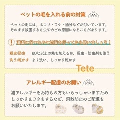 うちの子のけだまだま ガチャガチャ コンプリート6種の画像