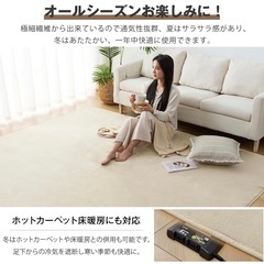 アイボリー 
ラグ カーペット 滑り止め付 洗える ラグマット 3畳 200×245cm 絨毯 オールシーズン フランネルラグ 抗菌 防臭 ホットカーペット対応 無地の画像