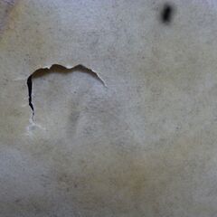 中古1.6尺太鼓・高台座セットの画像