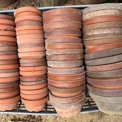 素焼き　植木鉢　盆栽鉢　中　100枚超え