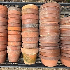 素焼き　植木鉢　盆栽鉢　中　100枚超えの画像