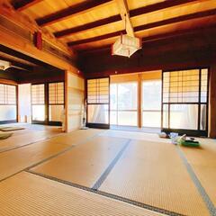 🉐敷礼無料！ペット大歓迎！広い部屋で多頭飼いでものびのび暮らせる...