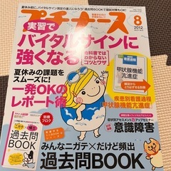 まとめての値段、プチナースなどの画像