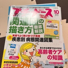 まとめての値段、プチナースなどの画像