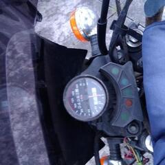 KYMCO125の画像