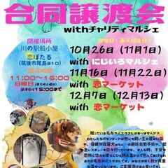 ポスターを貼らせて下さい！