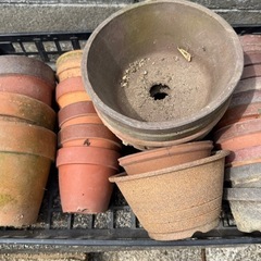 素焼き　植木鉢　盆栽鉢　中　100枚超えの画像