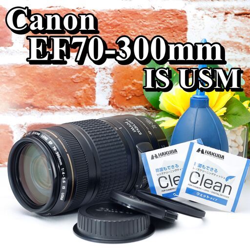 ✨美品❣️動作良好❣️✨Canon 望遠レンズ 80-200mm✨おまけ豊富❣️ ✨美品❣️動作良好❣️✨Canon 望遠レンズ 80-200mm✨おまけ