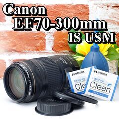【全国送料無料】⭐️美品⭐️ Canon EF 75-300㎜ ...