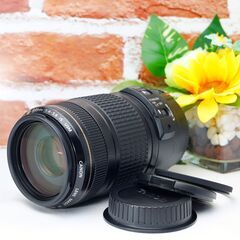 【全国送料無料】⭐️美品⭐️ Canon EF 75-300㎜ IS USM✨手振れ補正付き超望遠レンズ ✨ キャノン キヤノン イベント 旅行 野鳥の画像
