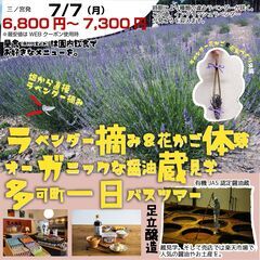 【7/7三ノ宮発】ラベンダーを堪能する旅