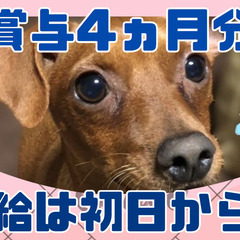 週3日～！日勤・夜勤の選択もOK！ミニボーナスあり！看護スタッフ