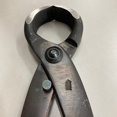 盆栽用根切りの画像
