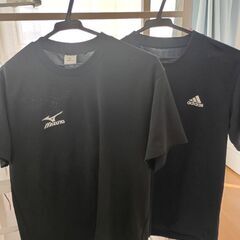 レディースTシャツ　Sサイズ