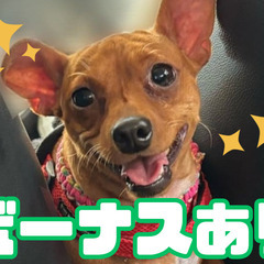 定時退勤！日勤のみ！無資格・未経験OK！ケアスタッフ