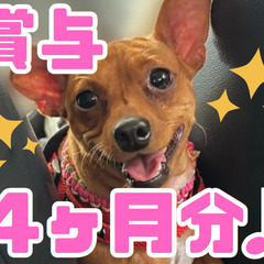 病院とは違った魅力を紹介！定時退勤！慌ただしさなし！ナース