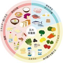 【53歳】ぽっちゃりダメオジが“人生ごと若返った話”（無料講座あり）の画像