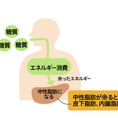 【53歳】ぽっちゃりダメオジが“人生ごと若返った話”（無料講座あり）の画像