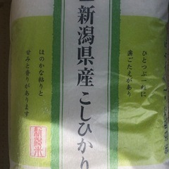 新潟県産　こしひかり　5kg  お米　在庫4個