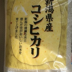 新潟県産　こしひかり　5kg  お米　在庫2個
