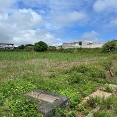 【宮古島・スプリンクラー完備農地】整備済み・風の影響も受けにくい...