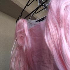 ヘアウィッグの画像
