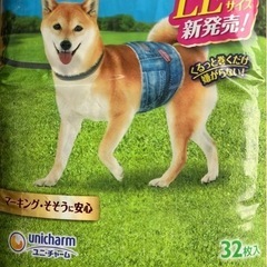 マナーウェアLL 